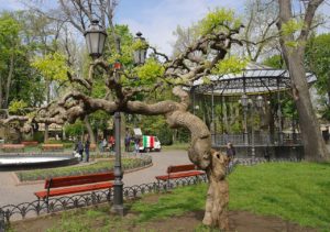 Городской сад Одесса