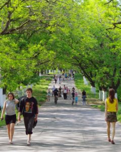 Трасса Здоровья Одесса