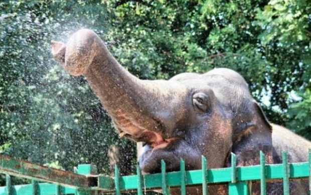 Одесский Зоопарк