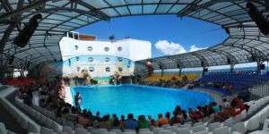 Дельфинарий Немо_Одесса