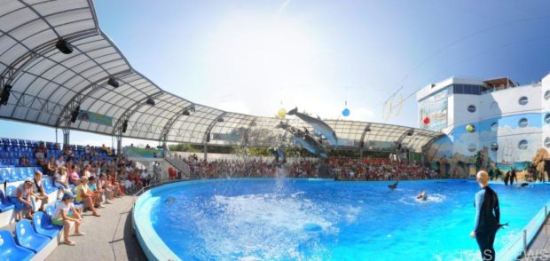 Дельфинарий «Немо» Одесса