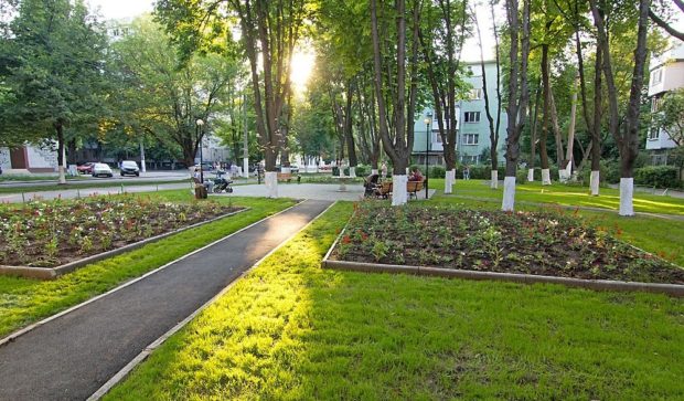 Район Черемушки