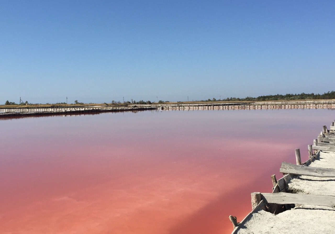 Озеро Куяльник, Одесская область
