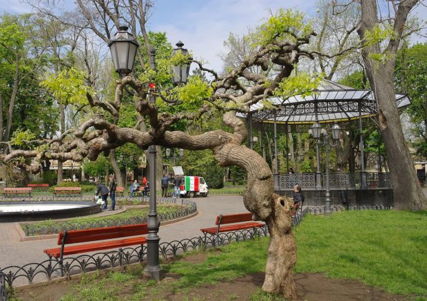 Городской сад на улице Дериьассовской