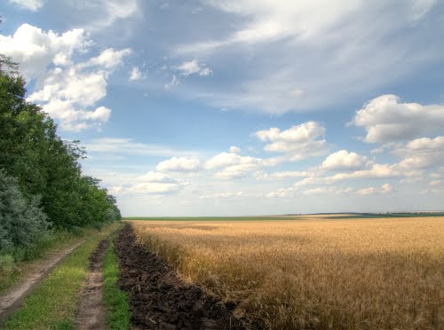 заповедники одессы