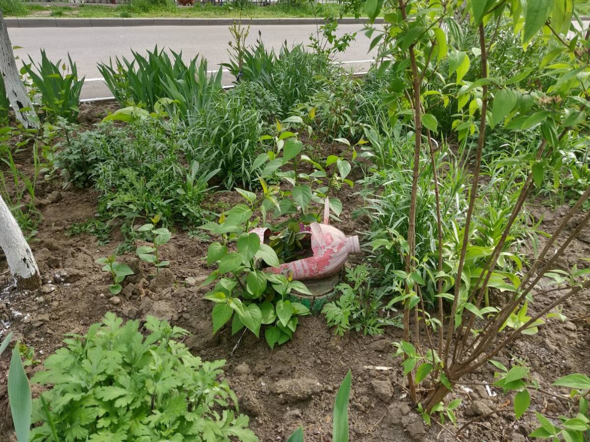 ЖКХ-арт в Одессе