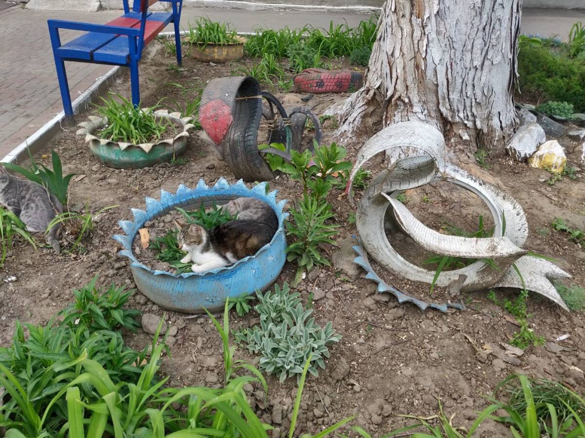 ЖКХ-арт в Одессе