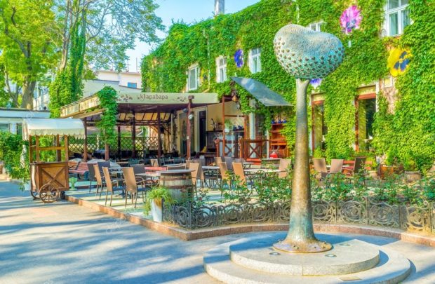 Дерево любви, Одесса