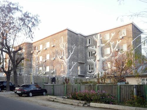 Дом с деревьями, Чубаевка