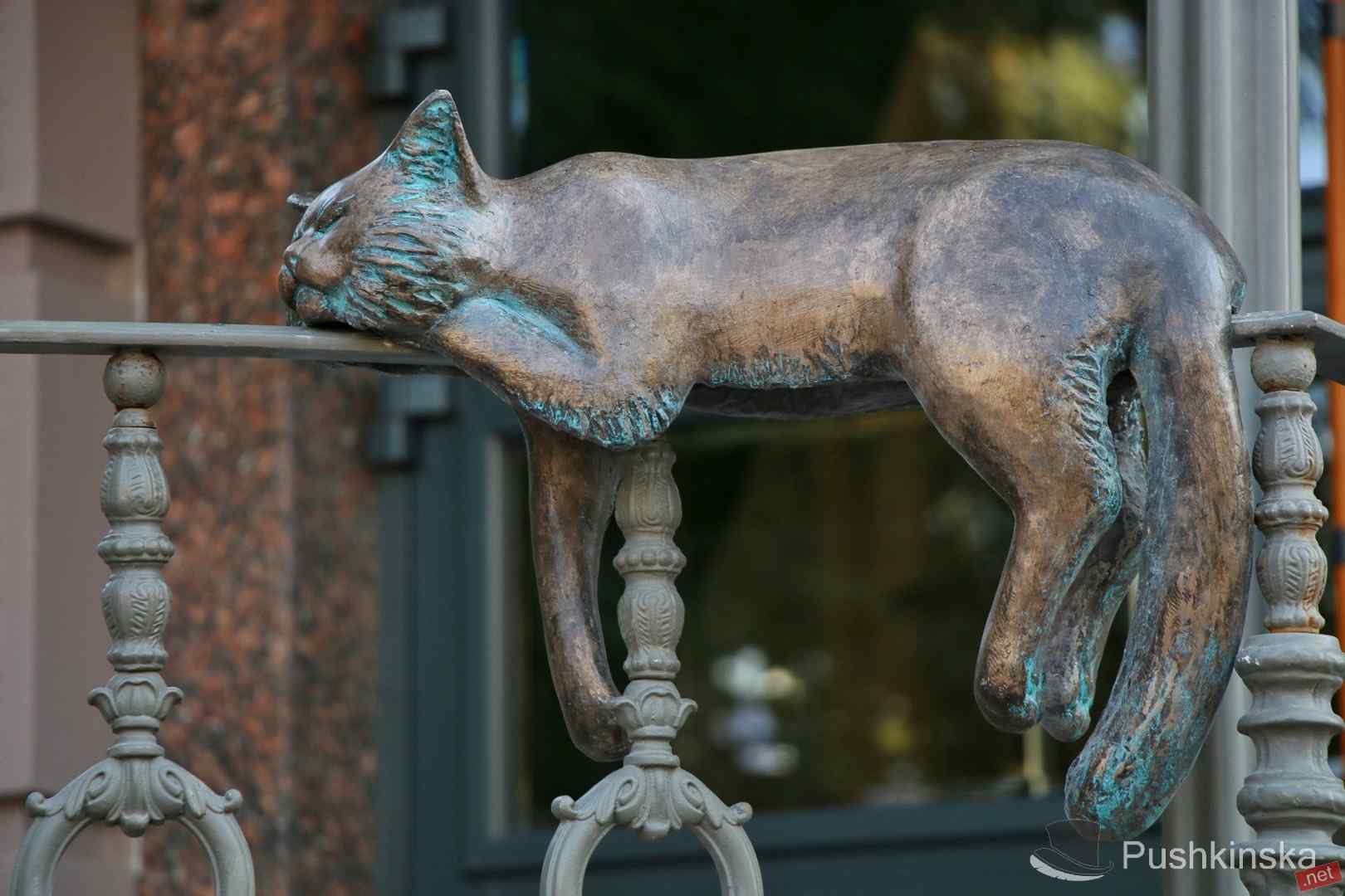 Кошачий маршрут в Одессе