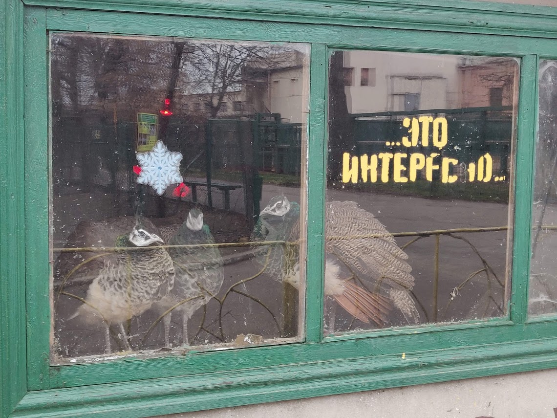 одесский зоопарк