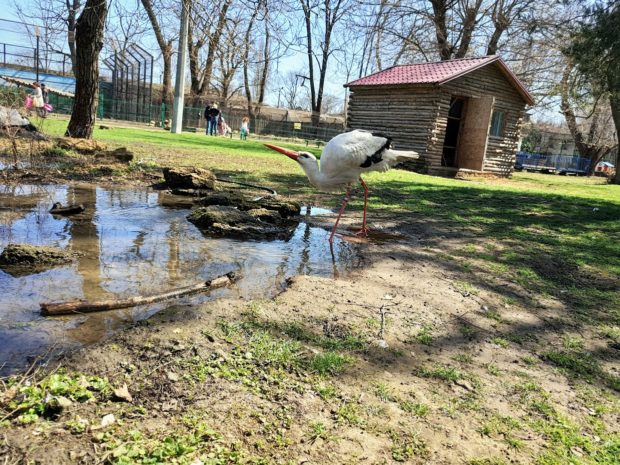 одесский зоопарк