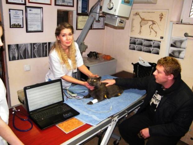 Айболит, ветеринарная клиника. Зоомир > Ветеринарные клиники, Одесса