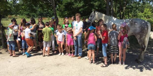 Айвенго, конный клуб. Активный отдых, экстрим > Конные клубы, Одесса