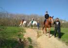 Айвенго, конный клуб. Активный отдых, экстрим > Конные клубы, Одесса