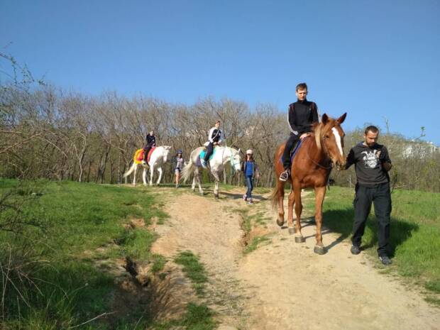 Айвенго, конный клуб. Активный отдых, экстрим > Конные клубы, Одесса