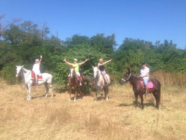 Айвенго, конный клуб. Активный отдых, экстрим > Конные клубы, Одесса