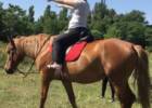 Айвенго, конный клуб. Активный отдых, экстрим > Конные клубы, Одесса