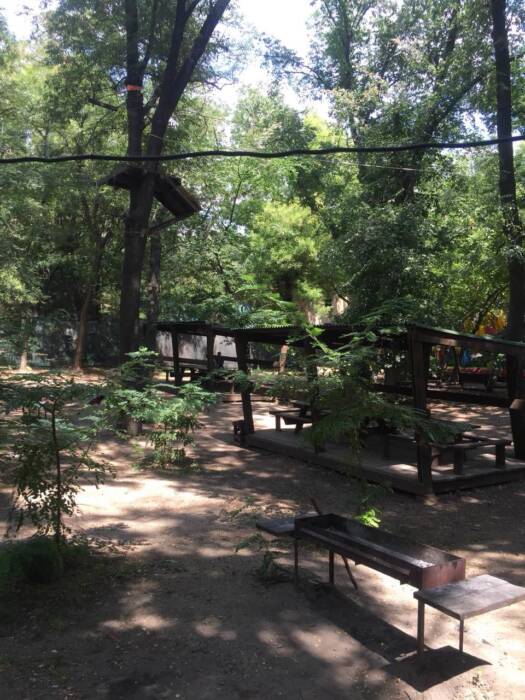 Аренда беседок - Пейнтбол Headshot. Активный отдых, экстрим > Спортивно-тактические клубы, тиры, Одесса