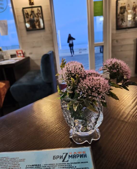 Бризмарин, кафе. Рестораны, кафе, пиццерии, суши > Кафе, бары, Одесса