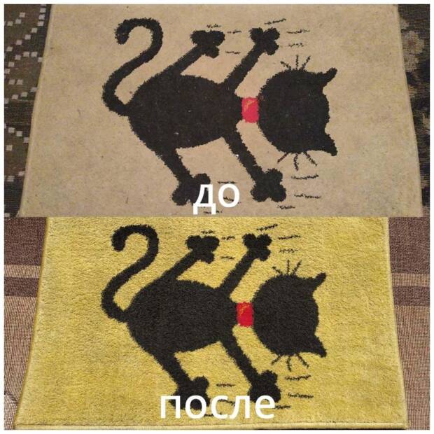 Енот клининг - химчистка авто. Услуги > Клининговые услуги, Одесса