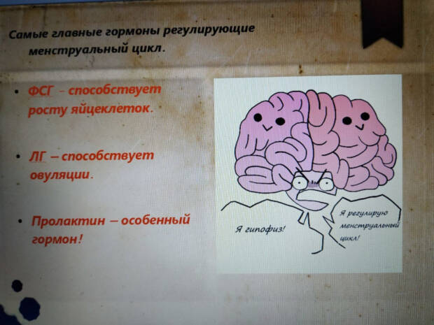 Гинеколог Старущенко Татьяна Евгеньевна. Медицина, здоровье > Гинеколог, Одесса