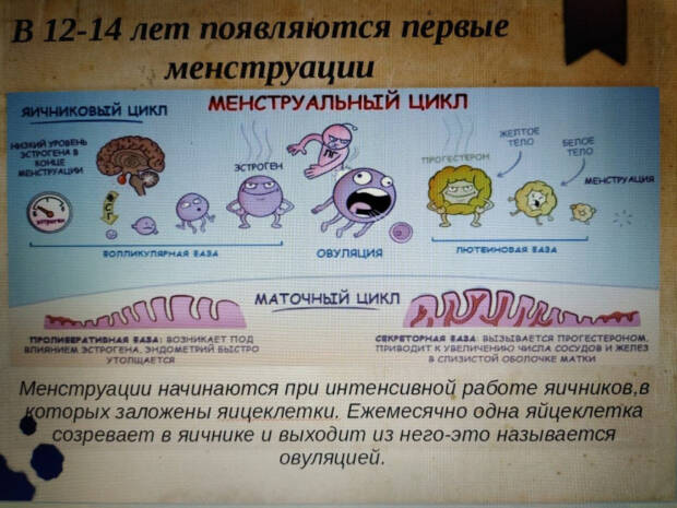 Гинеколог Старущенко Татьяна Евгеньевна. Медицина, здоровье > Гинеколог, Одесса