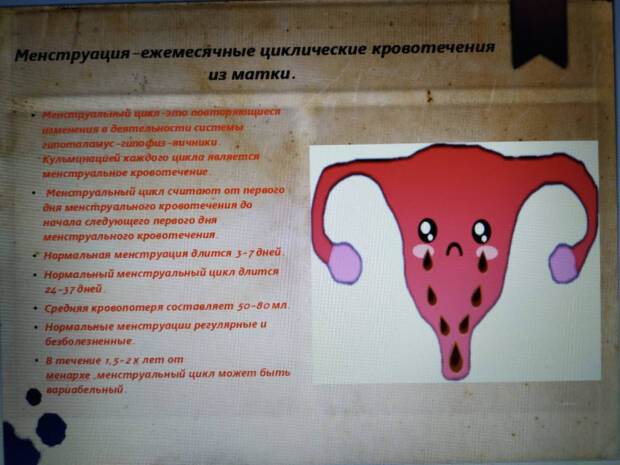 Гинеколог Старущенко Татьяна Евгеньевна. Медицина, здоровье > Гинеколог, Одесса