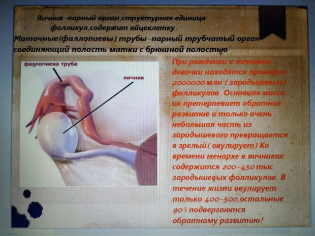 Гинеколог Старущенко Татьяна Евгеньевна. Медицина, здоровье > Гинеколог, Одесса