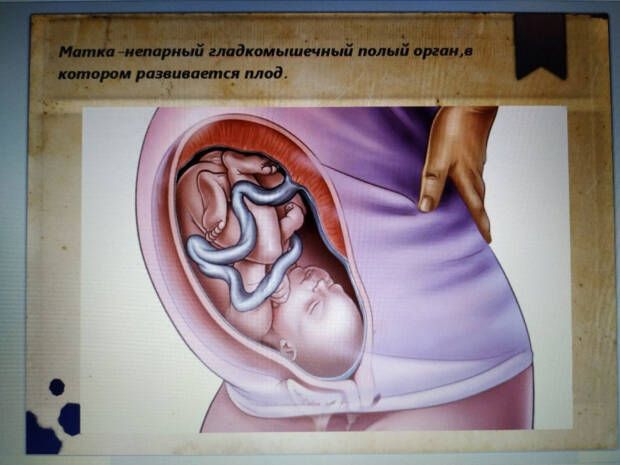 Гинеколог Старущенко Татьяна Евгеньевна. Медицина, здоровье > Гинеколог, Одесса