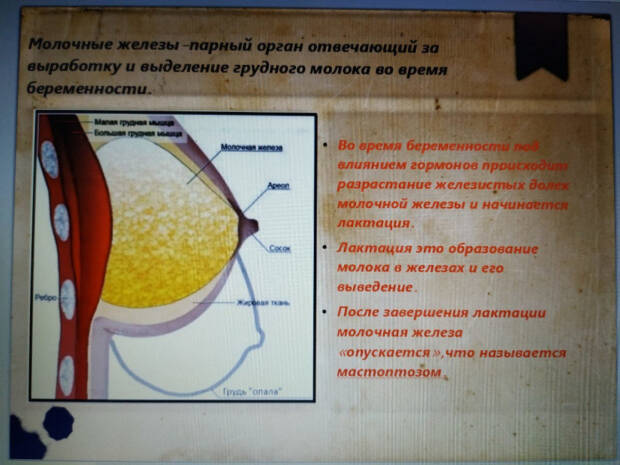 Гинеколог Старущенко Татьяна Евгеньевна. Медицина, здоровье > Гинеколог, Одесса
