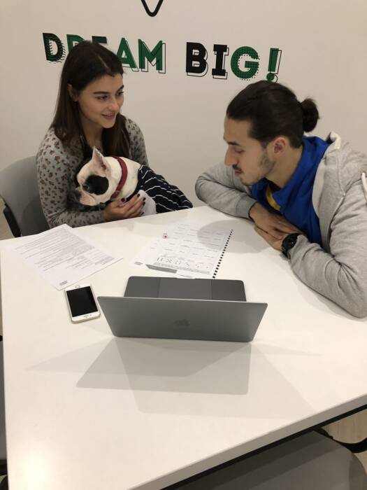 Green Forest, курсы английского языка. Образование (школы, курсы) > Курсы иностранных языков, Одесса