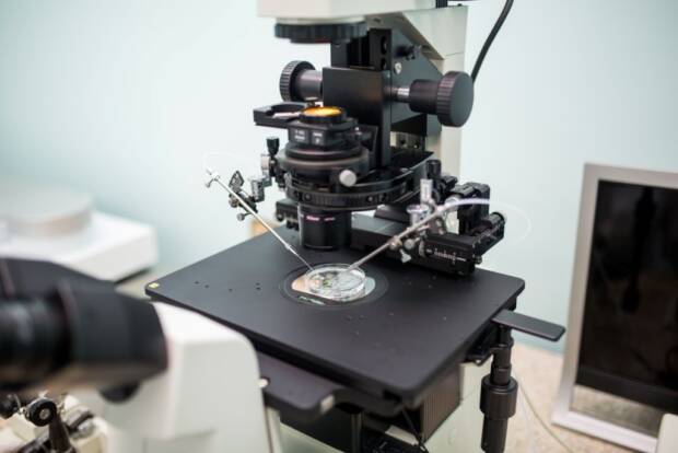 Лечение бесплодия в медицинском центре Gameta. Медицина, здоровье > Лечение бесплодия, Одесса