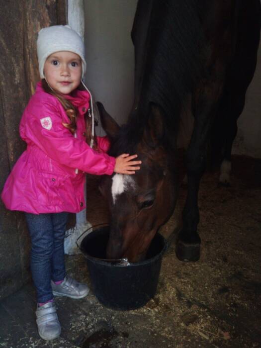 Прокат лошадей Конюшня «Пегас». Активный отдых, экстрим > Конные клубы, Одесса