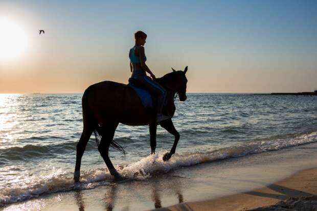Прокат лошадей Конюшня «Пегас». Активный отдых, экстрим > Конные клубы, Одесса