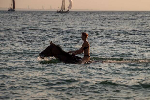 Прокат лошадей Конюшня «Пегас». Активный отдых, экстрим > Конные клубы, Одесса