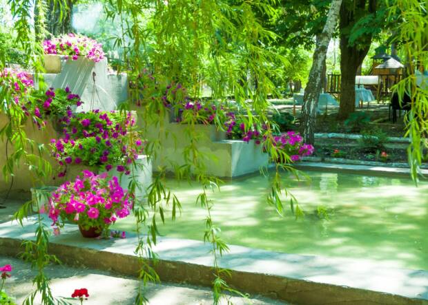 Просвіта. Образование (школы, курсы) > Общеобразовательные школы и лицеи, частные школы, Одесса