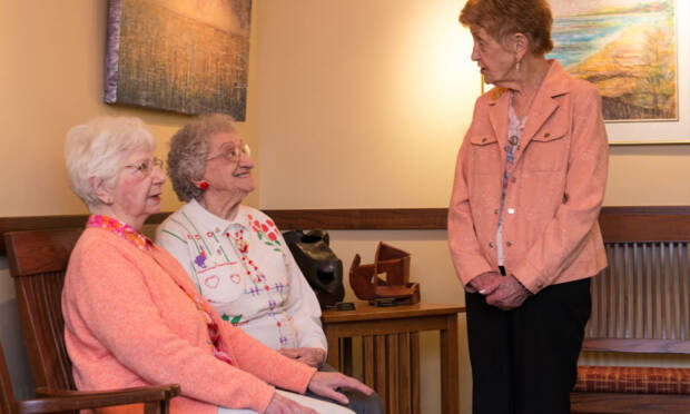 Солнечный парк (Sunny park), сеть пансионатов для пожилых людей в Украине. Медицина, здоровье > Дома престарелых, хосписы, Одесса