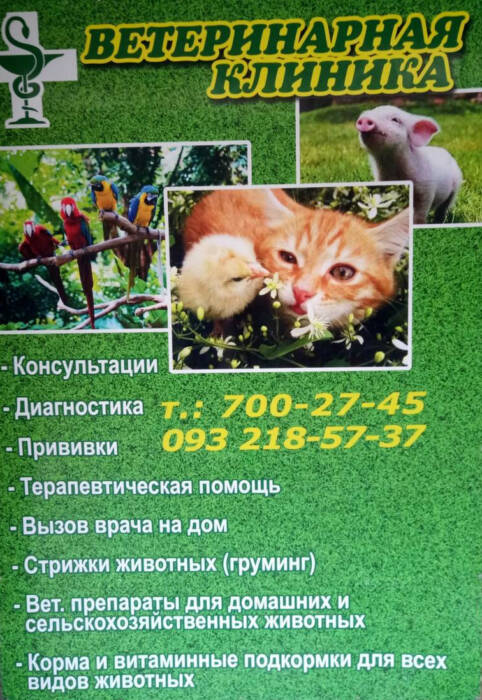 Ветеринарная клиника. Зоомир > Ветеринарные клиники, Одесса