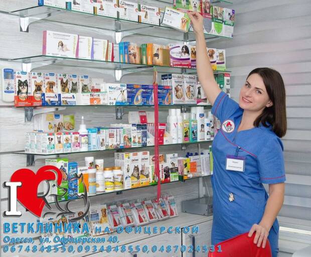 Ветеринарная клиника на Офицерской. Зоомир > Ветеринарные клиники, Одесса