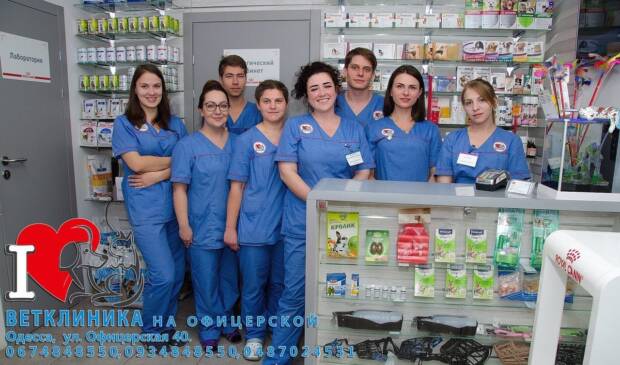 Ветеринарная клиника на Офицерской. Зоомир > Ветеринарные клиники, Одесса