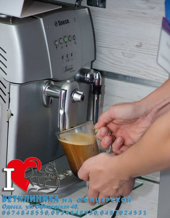 Ветеринарная клиника на Офицерской. Зоомир > Ветеринарные клиники, Одесса