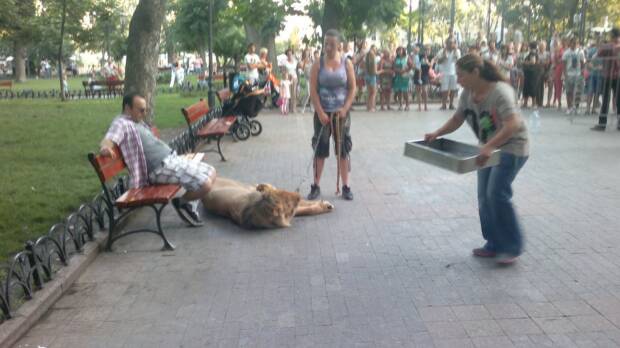 Городской Сад. Кинотеатры, музеи, театры, выставки > Достопримечательности, Одесса