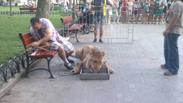 Городской Сад. Кинотеатры, музеи, театры, выставки > Достопримечательности, Одесса
