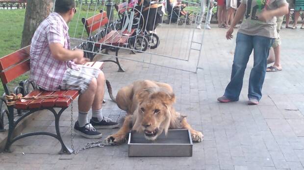Городской Сад. Кинотеатры, музеи, театры, выставки > Достопримечательности, Одесса