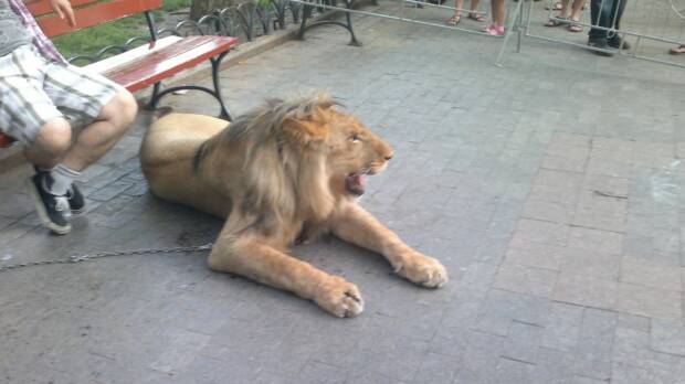 Городской Сад. Кинотеатры, музеи, театры, выставки > Достопримечательности, Одесса