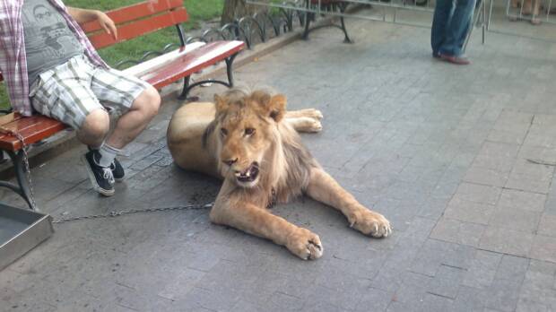 Городской Сад. Кинотеатры, музеи, театры, выставки > Достопримечательности, Одесса