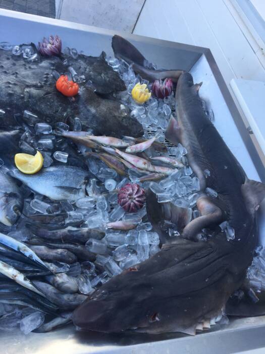 Кафе Бризмарин. Рестораны, кафе, пиццерии, суши > Кафе, бары, Одесса