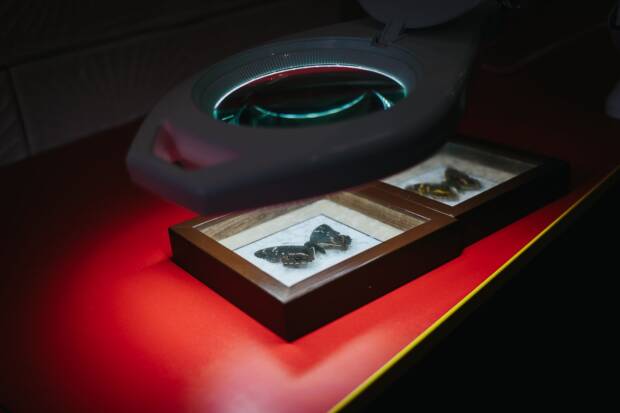 Музей Интересной Науки. Кинотеатры, музеи, театры, выставки > Музеи, галереи, выставки, Одесса