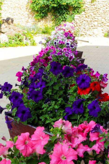 Парк-отель Лиман, услуги кафе. Турагентства, гостиницы, базы отдыха > Базы отдыха, пансионаты, Одесса